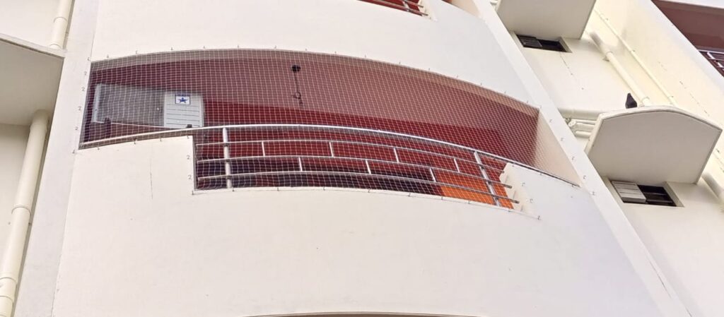 Anti Bird Net Installation in Ernakulam
