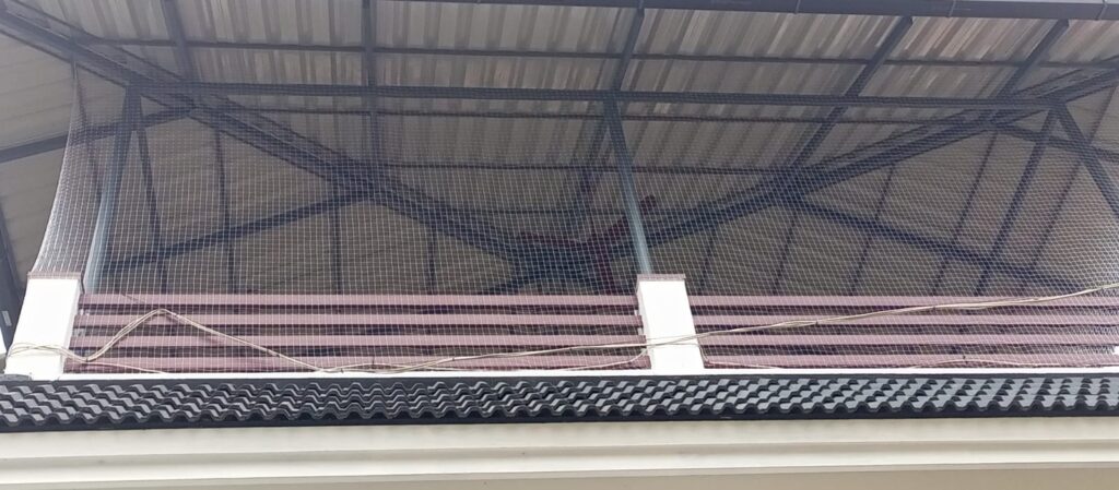 Anti Bird Net Installation in Ernakulam