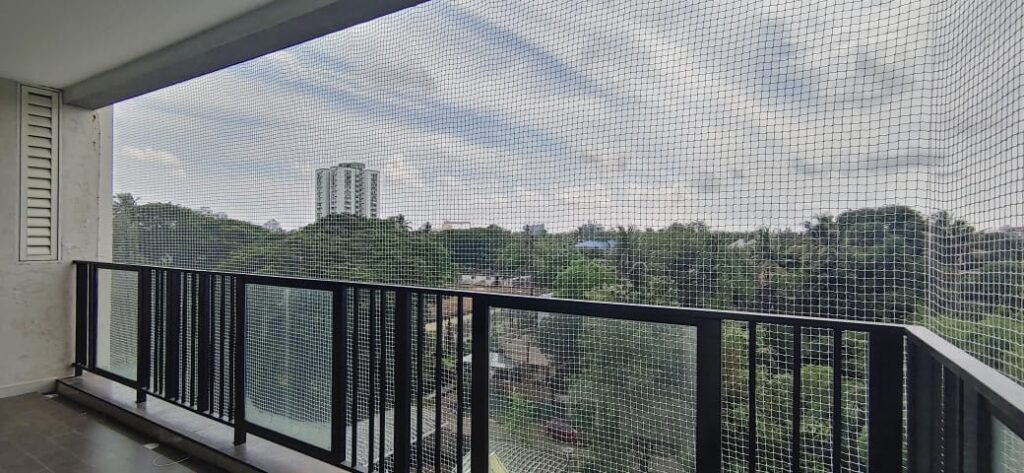 Anti Bird Net Installation Aluva